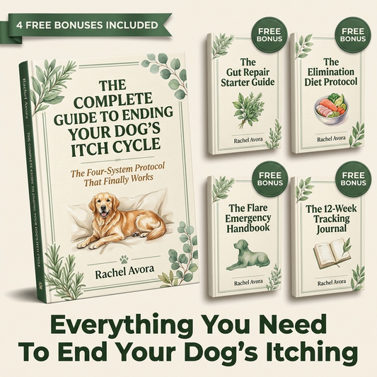 The Complete Guide To End Your Dog's Itching