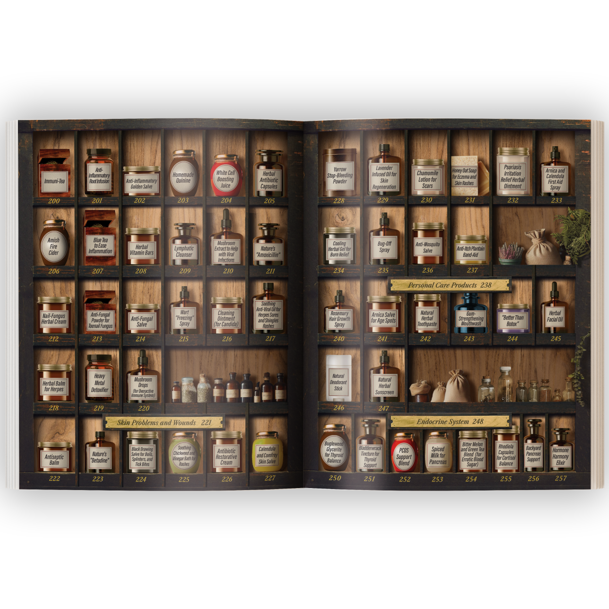Forgotten Home Apothecary: 250 Powerful Remedies E-Book